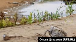 Пластиковый поплавок, используемый браконьерами из Северной Кореи