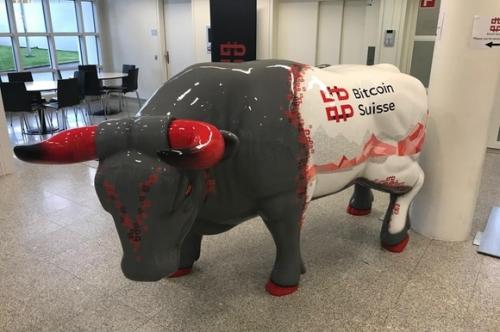 bitcoin suisse bull