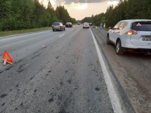 В результате ДТП под Верхней Пышмой погиб водитель велосипеда