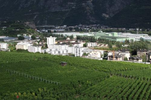 Weinberge oberhalb von Sierre im Rhonetal