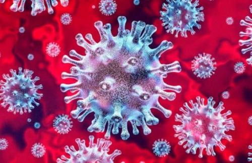 В Северодвинске проявился «очаг распространения коронавируса». Какие будут выводы?