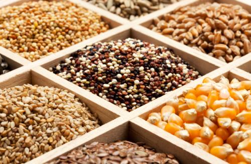 АгроСемЭксперт поможет аграриям Татарстана найти подходящую партию семян для закупки или разместить свои предложения по их поставке