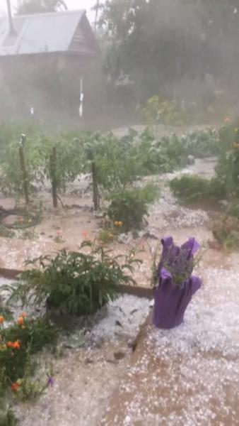 Град и ливень испортили урожай челнинских дачников в нескольких СНТ [фото, видео]