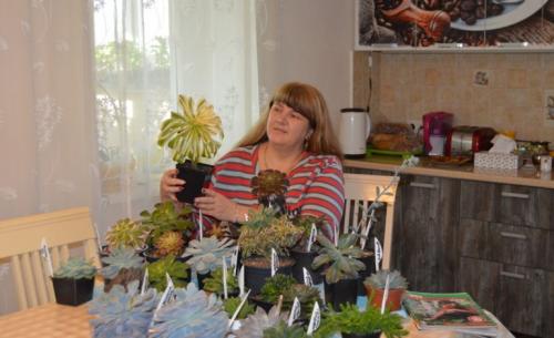 Потратить полдня на цветочное хозяйство: фанатка суккулентов Ольга Палиоха