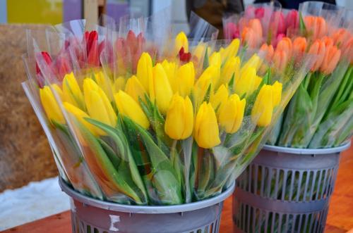 Места праздничной торговли цветами в Сергиево-Посадском округе