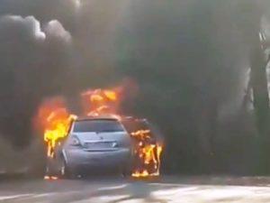 Стали известны подробности пожара автомобиля в Челбасском лесу