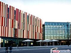 Австралийский Macquarie University реформировал свою знаменитую бизнес-школу
