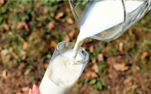 Тайны магазинного молока раскрыли в Роскачестве