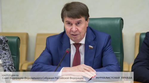 В Совфеде дали оценку задержанию украинских диверсантов