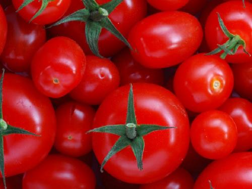 В Брянск не пустили тонны зараженных томатов