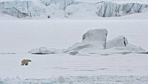 Ученые выяснили причины разрушения морского побережья российской Арктики