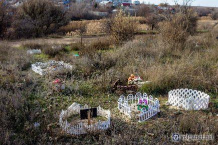 Кладбище домашних животных: на окраине Волгограда разрастается необычное захоронение